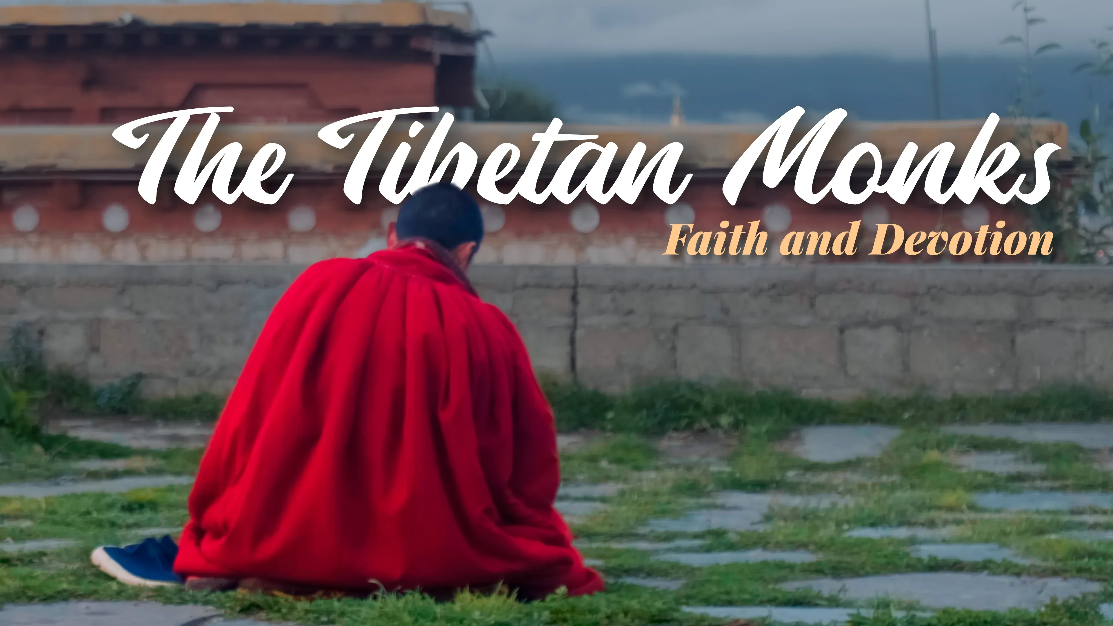 Cover image for The Tibetan Monks.